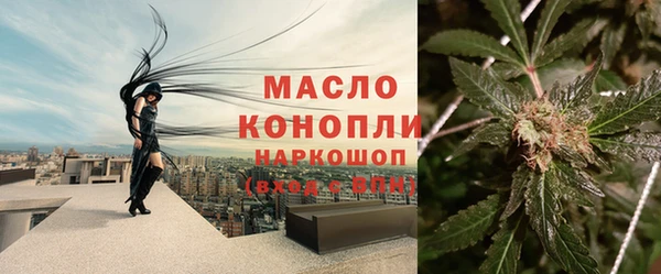 ешки Инта