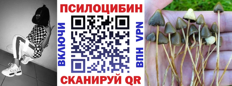 сайты даркнета телеграм  Калач-на-Дону  Псилоцибиновые грибы Magic Shrooms 